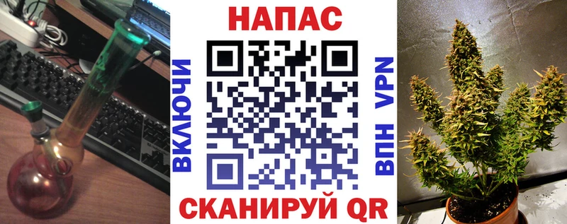 Купить  Кизилюрт  Бошки Шишки VHQ 